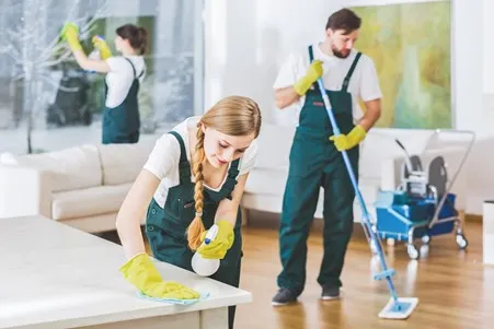 The Ultimate Guide to VIP Cleaning: What Sets it Apart?