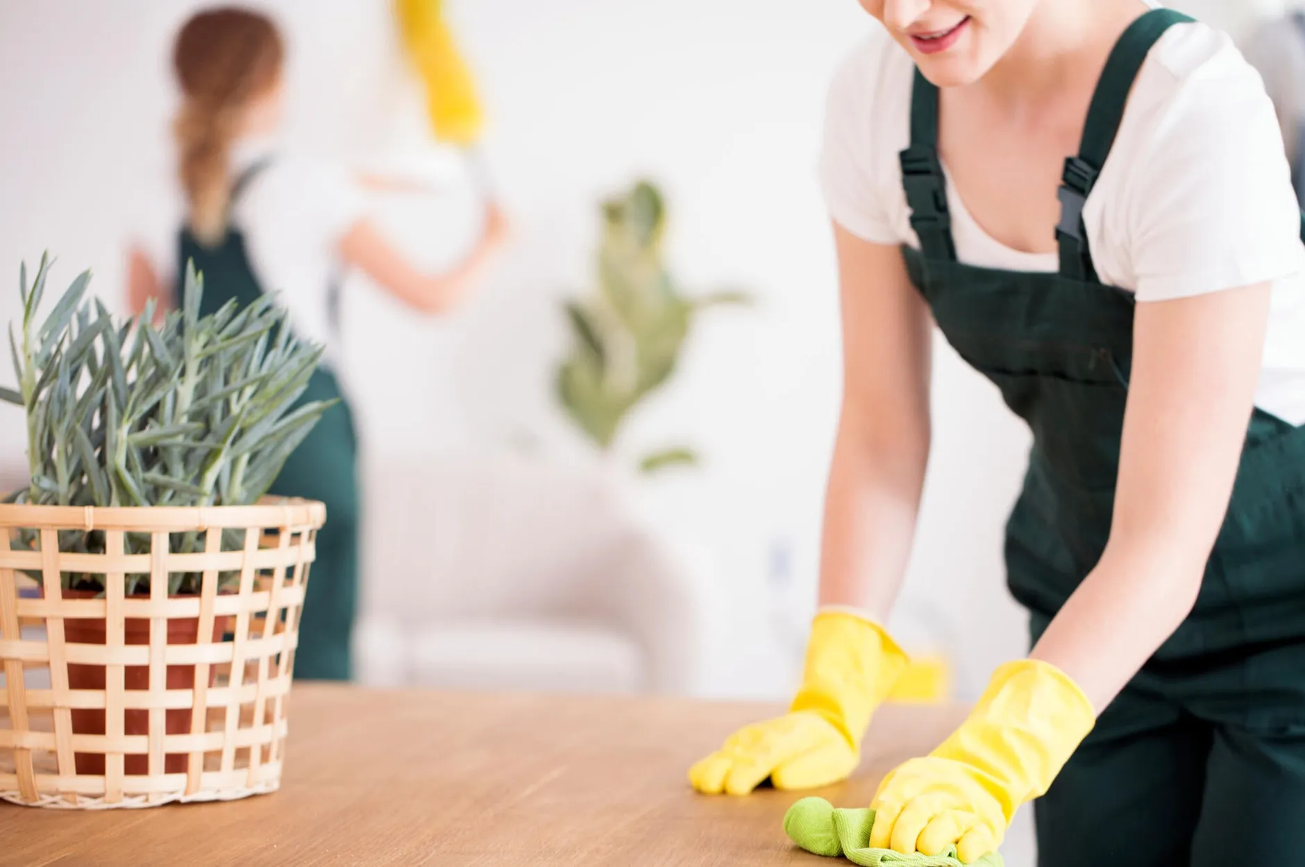 Exploring the Different Types of Specialty Cleaning Services From Post-Construction to Deep Cleaning