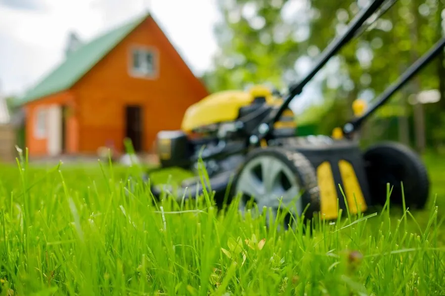 The Ultimate Guide to Finding Affordable Lawn Care Services in Your Area